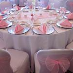 Organza sashes are available in a variety of colors.