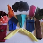 We offer a wide variety of napkin folding in numerous colors and fabrics.